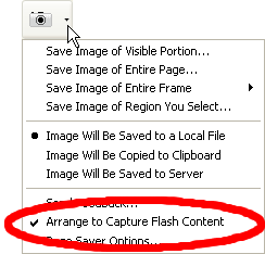 Page Saver Flash Capture