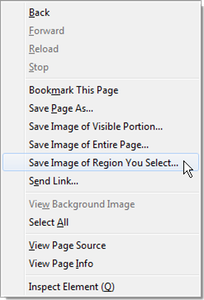 browser context menu with Page Saver items