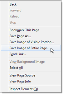browser context menu with Page Saver items
